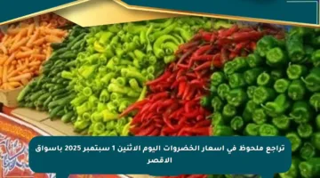 تراجع ملحوظ في أسعار الخضروات اليوم الإثنين 1 سبتمبر 2025 بأسواق الأقصر